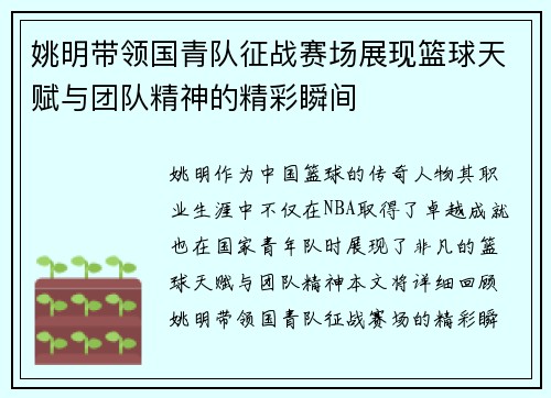 姚明带领国青队征战赛场展现篮球天赋与团队精神的精彩瞬间